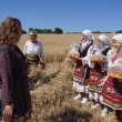 С ритуално зажънване започна жътвата в село Крамолин