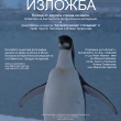 Кметът д-р Иванов и проф. Пимпирев откриват заедно изложба, посветена на Българската антарктическа експедиция 