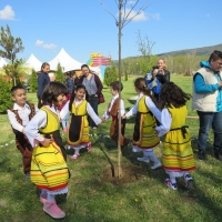 Дърво на надежда за България засадиха на „Семе българско“