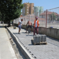 Община Севлиево подготвя есенното засяване на дървета в града