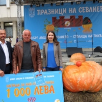 260-КИЛОГРАМОВА ТИКВА ДОНЕСЕ 1000 ЛВ. НА БИСЕР ПИНЧЕВ ОТ СЕЛО КРИ