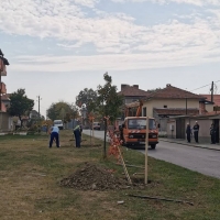 ТОПЛОТО ВРЕМЕ ПОЗВОЛИ ЗАСАЖДАНЕ НА ОЩЕ 20 НОВИ ДЪРВЕТА В СЕВЛИЕВО