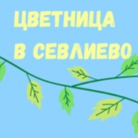 ОБЩИНСКИЯТ СЪВЕТ ПРИЕ КАЛЕНДАРНИЯ ПЛАН НА КУЛТУРНИТЕ ИЗЯВИ В ОБЩИНА СЕВЛИЕВО ПРЕЗ 2022 Г.