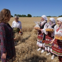 С ритуално зажънване започна жътвата в село Крамолин