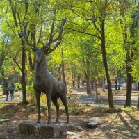 Ремонтираха скулптората на благороден елен в парк "Черничките"